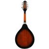 Ibanez M510E-BS Brown Sunburst mandoline, a-style, 8-str.  (with pickup)