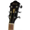 Ibanez AEG5EJPU BKN electro acoustic guitar, B03 set