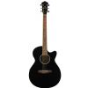 Ibanez AEG5EJPU BKN electro acoustic guitar, B03 set