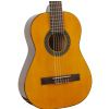 Ibanez GA1 AMT classical guitar