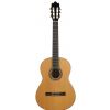 Ibanez G 850 NT classical guitar