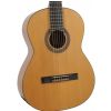 Ibanez G 850 NT classical guitar