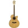 Ibanez AEL20E NT electro-acoustic guitar