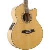 Ibanez AEL20E NT electro-acoustic guitar