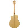 Ibanez AEL20E NT electro-acoustic guitar