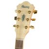Ibanez AEL20E NT electro-acoustic guitar
