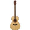 Luna Gypsy Parlor acoustic guitar