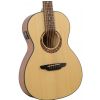 Luna Gypsy Parlor acoustic guitar