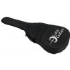 Luna Gypsy Parlor acoustic guitar