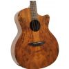 Luna Gypsy Spalt Maple acoustic guitar