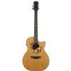 Luna Oracle Butterfly Natural electric/acoustic guitar