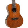 Luna Tapa Cedar electric acoustic concert ukulele