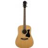 Ibanez V50NJP NT acoustic guitar + bag