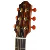 Yamaha SLG110S Natural Silent Guitar