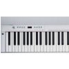 Roland F 120R PW
