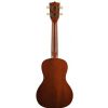 Kala Makala UB-C concert ukulele with gigbag