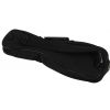 Fender Urban Soprano ukulele gig bag