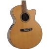 Dowina JCE999LE acoustic guitar with EQ