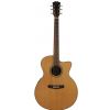 Dowina JCE999LE acoustic guitar with EQ