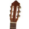 Strunal 381 Schoenbach EKO classical guitar 7/8