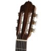 Esteve 3ST53 classical guitar