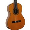 Esteve 3ST53 classical guitar