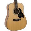 Richwood D-4012 acoustic guitar