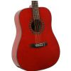 Flycat Standard RD acoustic guitar