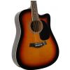 T.Burton Senger Texas W C BS acoustic guitar