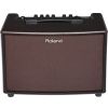 Roland AC-60 RW acoustic guitar amp