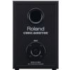 Roland CM 220 PA system