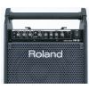 Roland PM-30 active PA system for digital drums