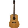 Tanglewood TWJD acoustic guitar