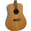 Tanglewood TWJD acoustic guitar