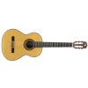 Aragon 49 Acoustic Guitar