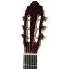 Valencia CG10 classical guitar