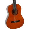 Valencia CG10 classical guitar