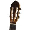 Valencia CG50 classical guitar