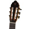 Valencia LTD5 Classical guitar