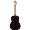 Valencia LTD5 Classical guitar