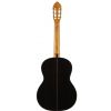 Valencia CG200 classical guitar