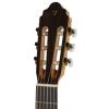 Valencia CG200 classical guitar