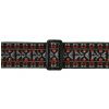 Planet Waves 50G01 Hootenanny Style 2