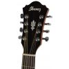 Ibanez AEL108MD NT 8 String Electro Acoustic Guitar