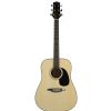 SX DG 1K II NA acoustic guitar