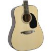 SX DG 1K II NA acoustic guitar
