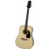 SX DG 1K II NA acoustic guitar