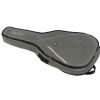 Ritter RGS3-C Steel Grey Moon classical guitar cover