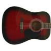 Richwood RD12 RS acoustic guitar W./Dreadnought