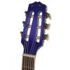 Gypsy Rose GRC1K/CPP classical guitar set